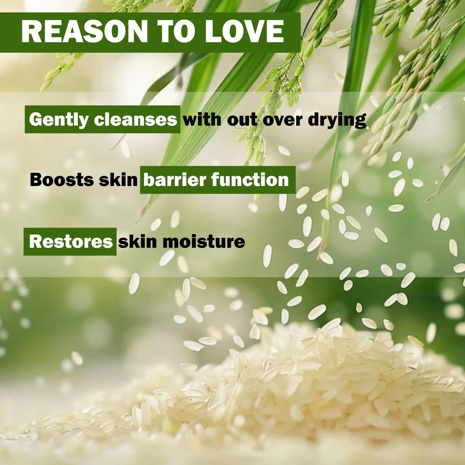 Pink Root Rice water Face & body Mask 100gm helps in Skin Tightening, Brightening and Control Acne and Blemish view 3