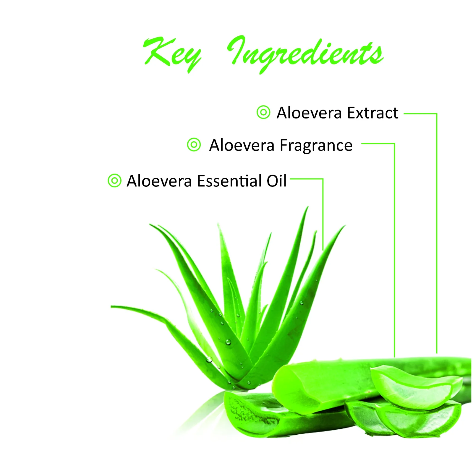 Pink Root Aloevera Cleansing Milk ,Smooth Soft & Clean Skin for Healthy & Brightening Skin (200 ml) view 4
