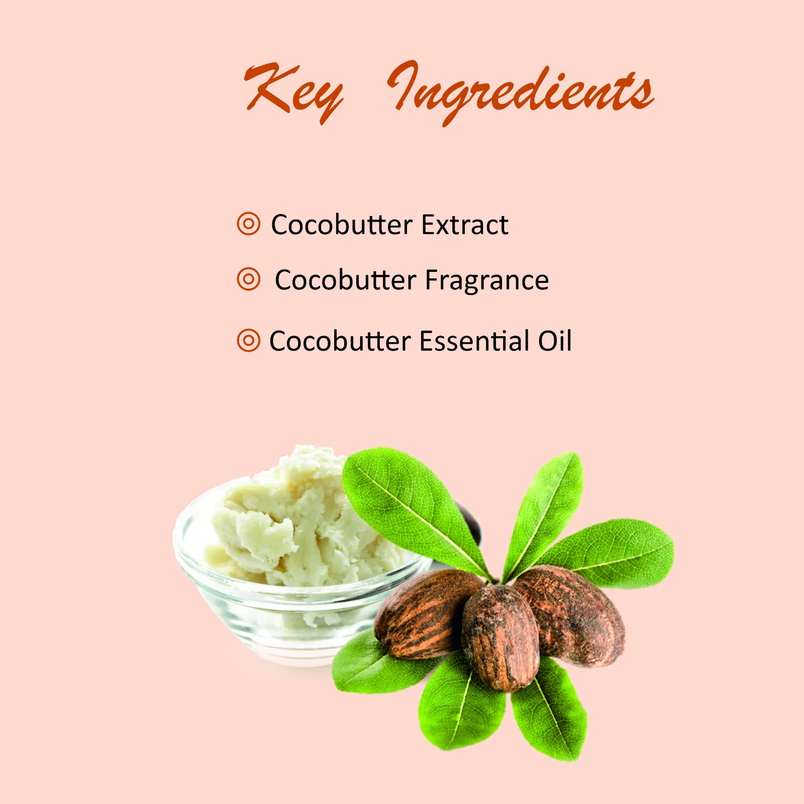 Pink Root Body Lotion Cocoa Butter 200ml | Moisturization & Nourishment, Softening & Smoothening view 4